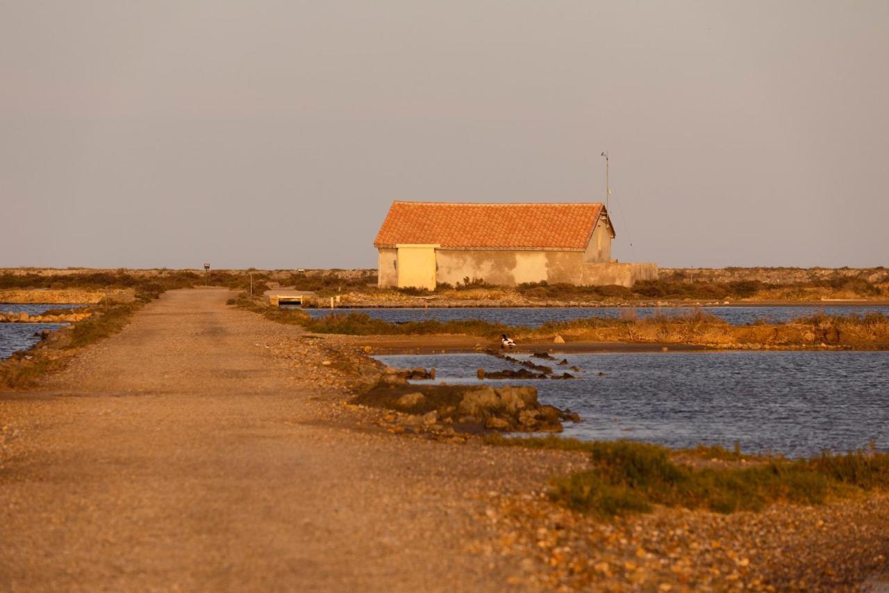 Vvf Narbonne-Plage Saint-Pierre-La-Mer Фльори Екстериор снимка